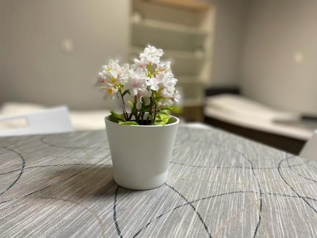 Pokoje Pod Swierkiem 스바르체데즈 외부 사진